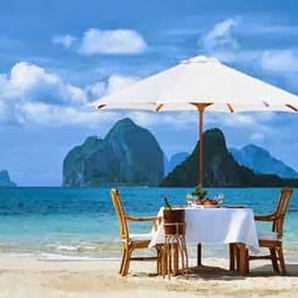 Meet your Posher, Tess - Picture 1 of 1